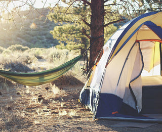 FALL CAMPING ESSENTIALS