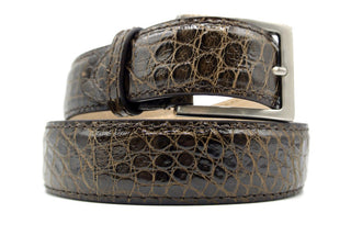 ALLIGATOR Belt