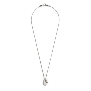 Silver Claw Pendant