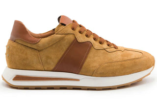 Zelli Roxi Italian Suede and Calfskin Sneaker