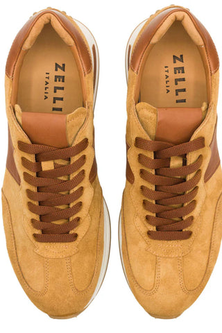 Zelli Roxi Italian Suede and Calfskin Sneaker