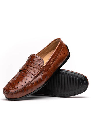 Zelli Monza Ostrich Quill Driver