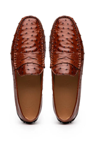 Zelli Monza Ostrich Quill Driver